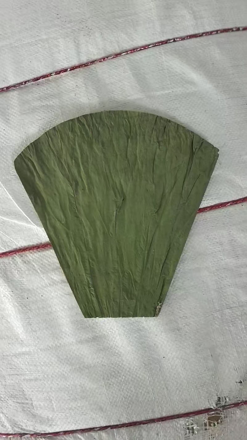 【荷叶】水果荷叶，可做饭店用支持一件代发包邮