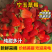 河南中牟宁玉草莓代发全国质量保证信誉第一