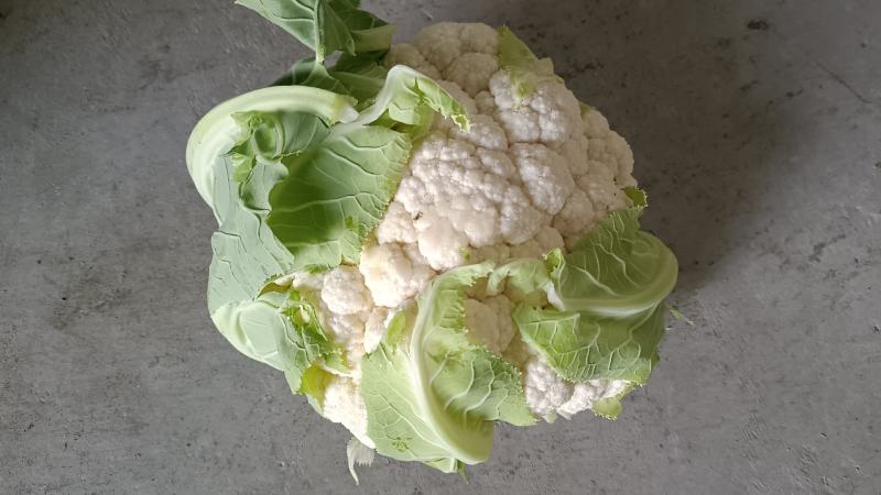小白实花，直供市场和加工厂，全国发货，量大从优。