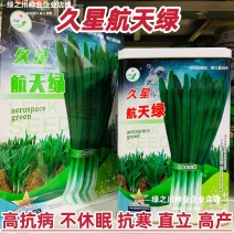 久星航天绿韭菜种子不休眠宽叶大叶韭菜种子抗寒抗病叶色深绿