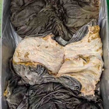 （一手货源）牛肚厂家直销价格低