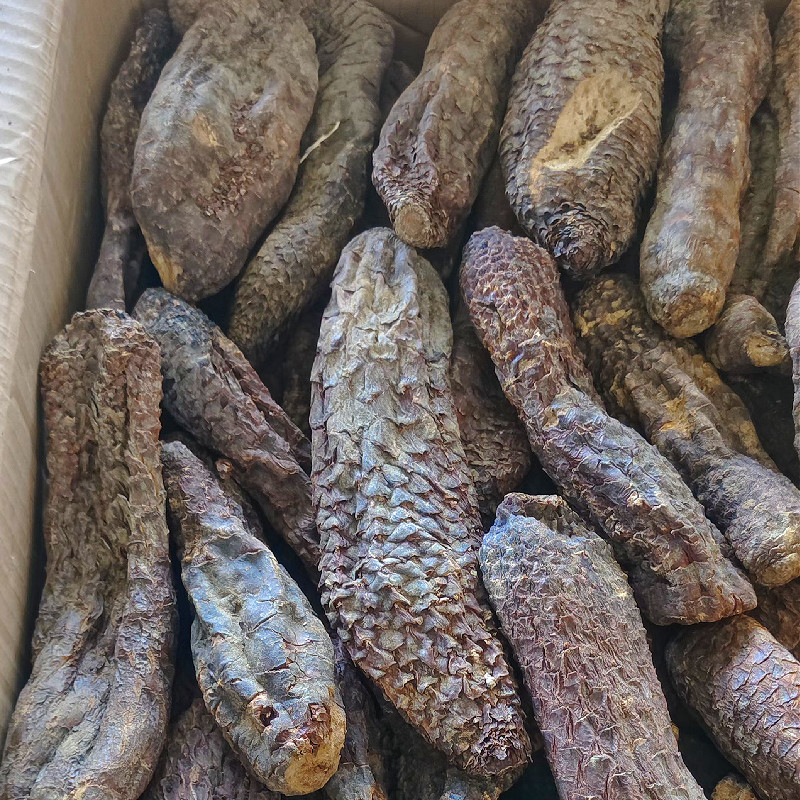 肉苁蓉新疆精品短条新货正宗滋补养生泡酒泡茶料包邮批发