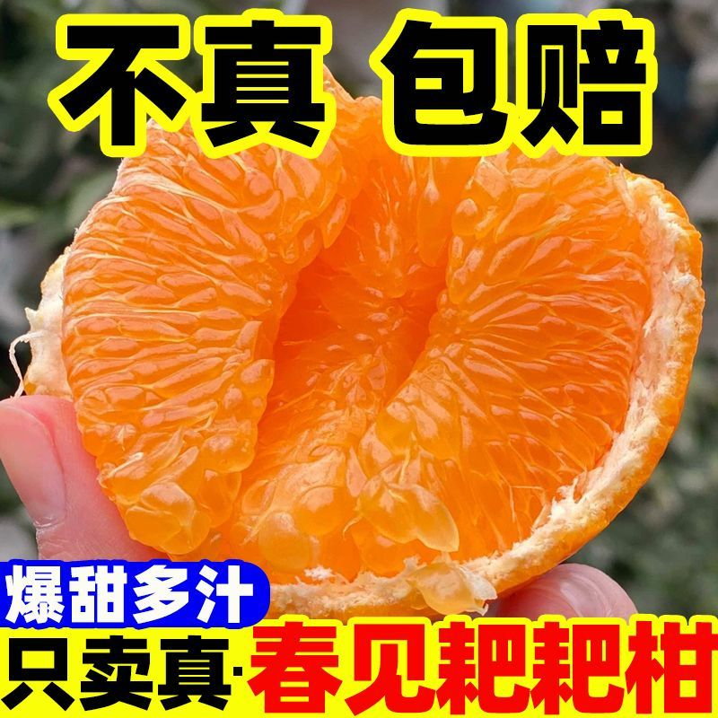 四川正宗青见耙耙，