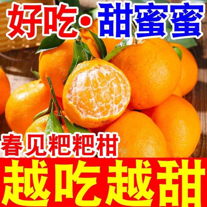 四川正宗青见耙耙，