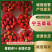中牟草莓大量上市代发全国各大市场需要的联系