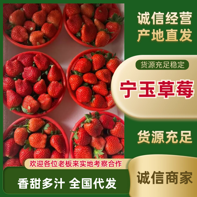 中牟草莓大量上市代发全国各大市场需要的联系