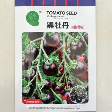 黑番茄种子黑牡丹黑番茄种籽香甜多汁瀑布小圣女果樱桃西红柿