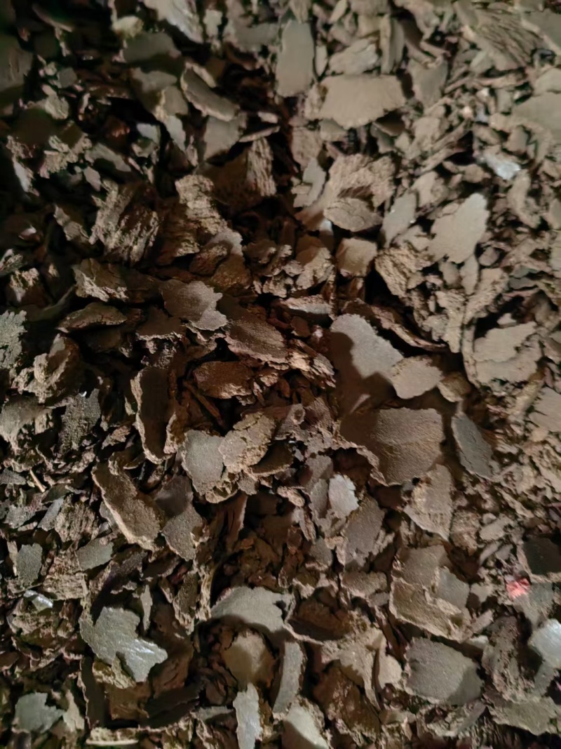 俄罗亚麻籽一等货大量上市诚信经营一手货源品质保证欢迎来电