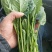 菠菜