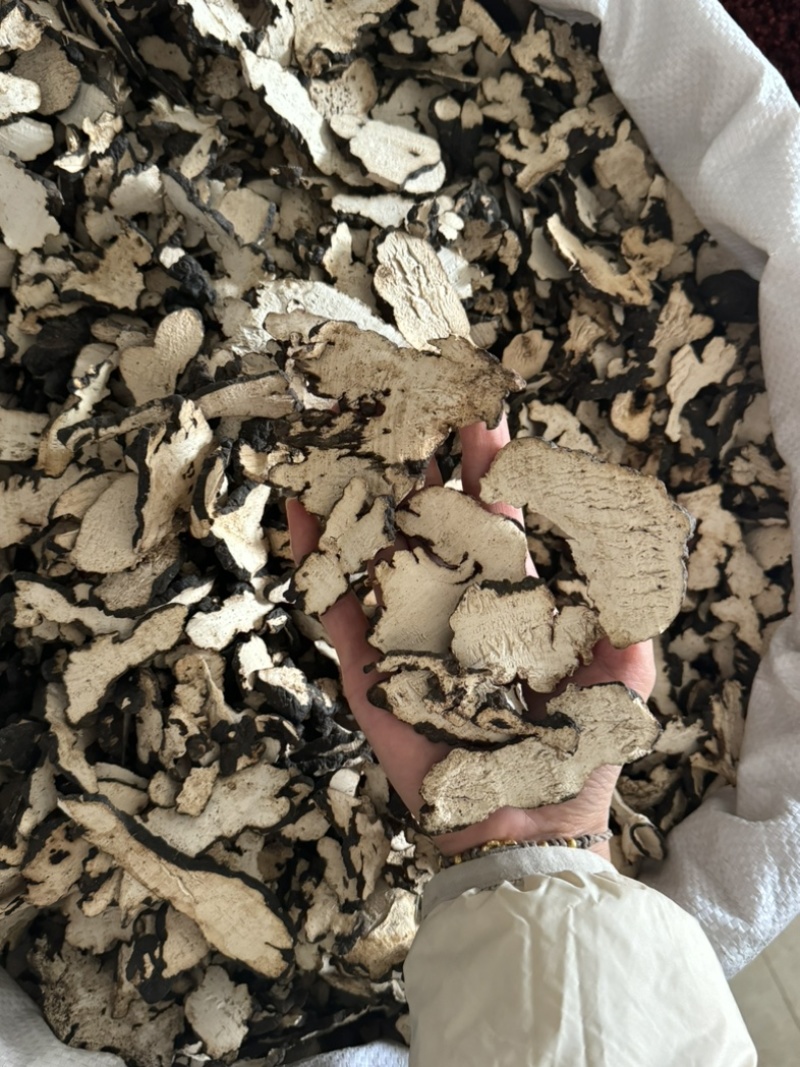 【货对版正品】猪苓猪屎苓猪苓片猪茯苓猪苓选装大片