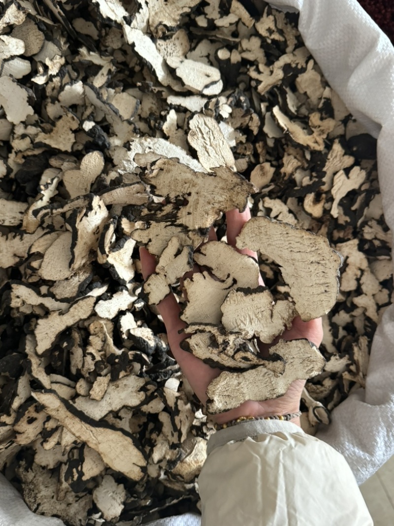 【货对版正品】猪苓猪屎苓猪苓片猪茯苓猪苓选装大片