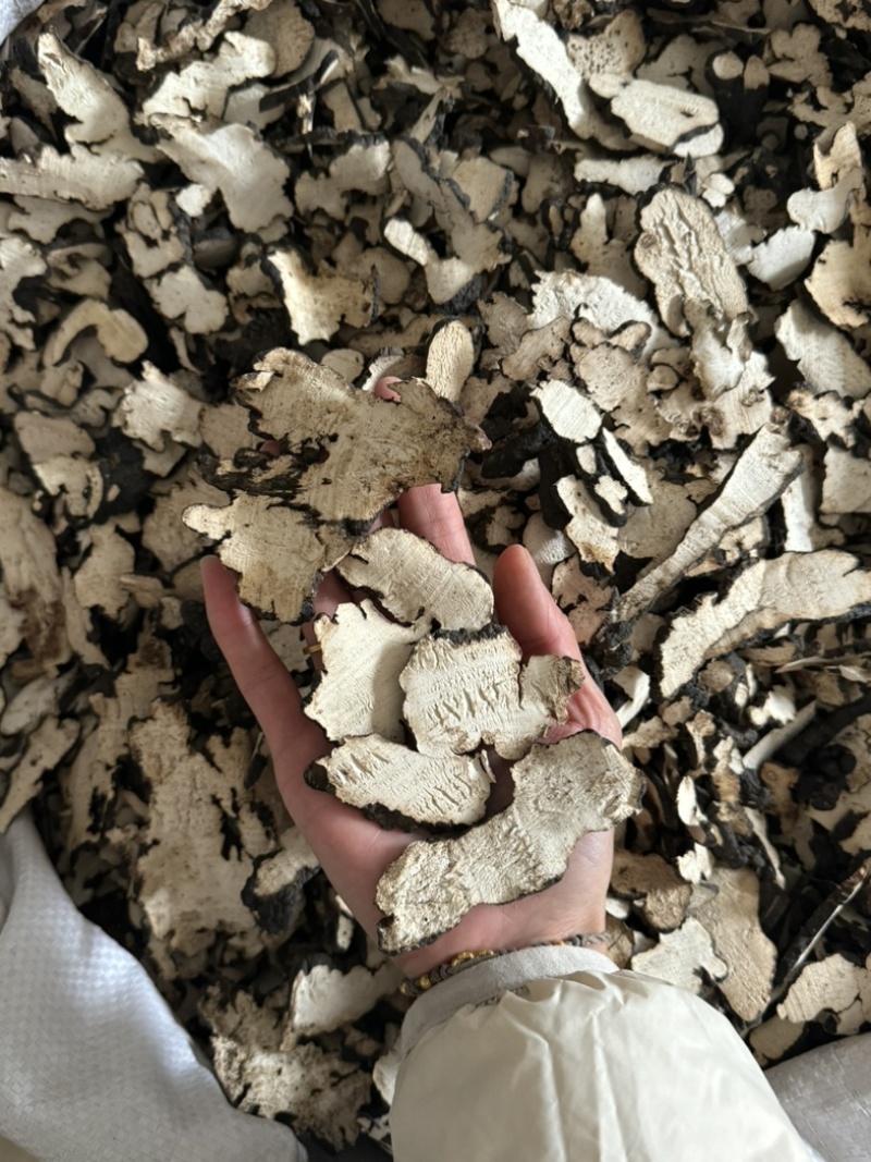 【货对版正品】猪苓猪屎苓猪苓片猪茯苓猪苓选装大片