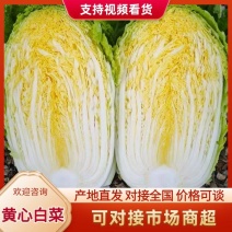 白菜黄心白菜湖北精品白菜产地供应保质保量