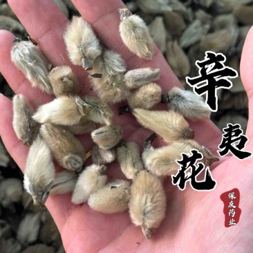 【货对版正品】辛夷花辛夷毛桃保庆药业正品辛夷花实物