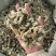 【货对版正品】辛夷花辛夷毛桃保庆药业正品辛夷花实物