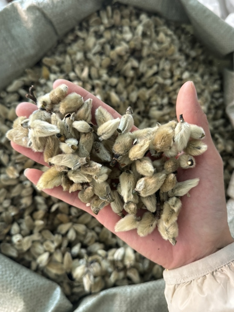 【货对版正品】辛夷花辛夷毛桃保庆药业正品辛夷花实物