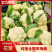 花菜松花菜精品花菜新鲜花菜产地发货保质保量