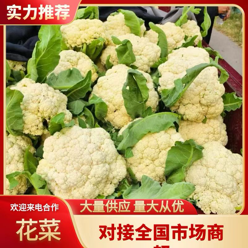 花菜松花菜精品花菜新鲜花菜产地发货保质保量