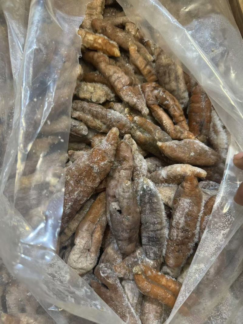 拉缸盐茄参