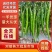 海花红美人椒湛江产地直供货源充足现摘现发红辣椒专业