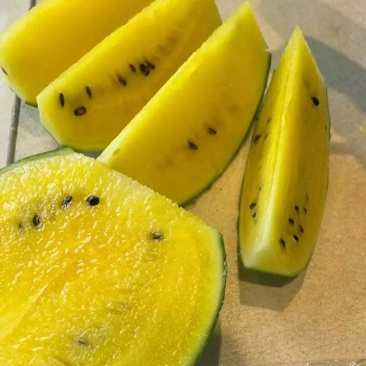 广东特小凤