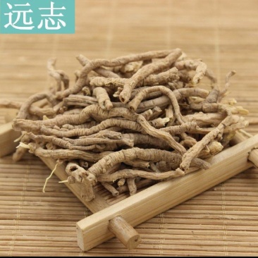 远志远志筒山西远志杆批发各种中药材量大从优