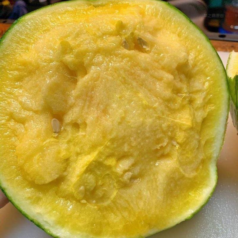 广东特小凤