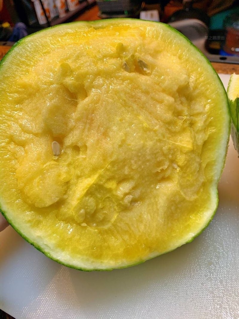 广东特小凤