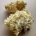 中国食用菌之都古田食用菌批发绣球菌干品大量现货供应一级