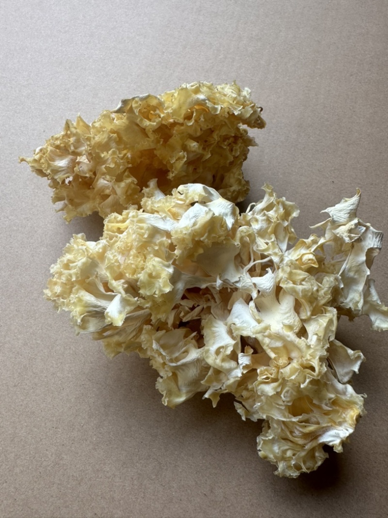 中国食用菌之都古田食用菌批发绣球菌干品大量现货供应一级