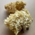中国食用菌之都古田食用菌批发绣球菌干品大量现货供应一级
