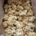 中国食用菌之都古田食用菌批发绣球菌干品大量现货供应一级