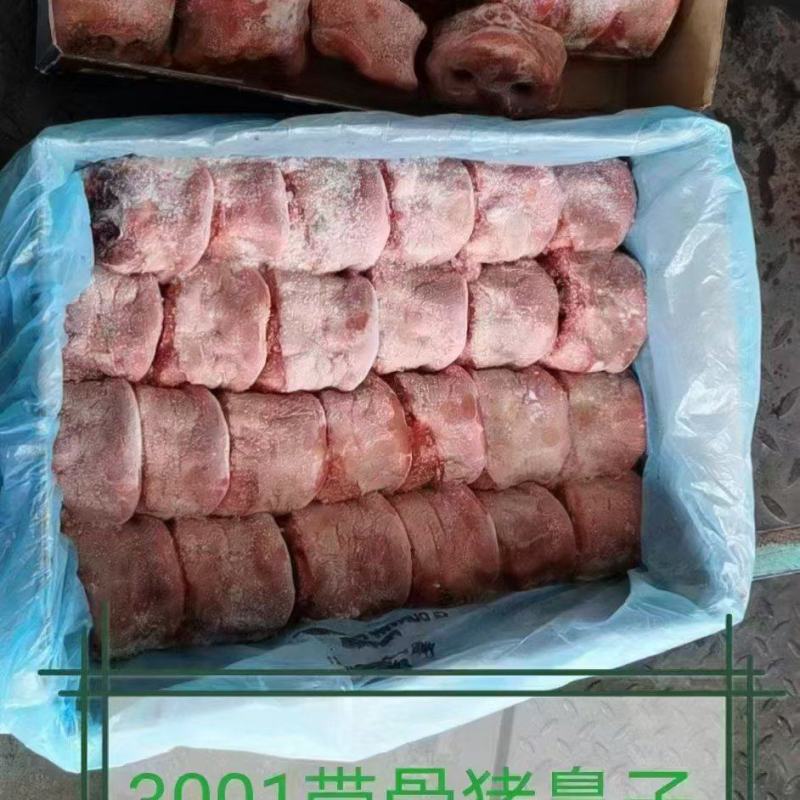 猪鼻子