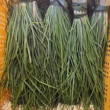 野菜，野葱，沙葱。山地纯野生的，春天的味道，大自然的恩赐