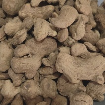 炮姜中药材批发炮干姜泡姜批发各种中药材一手货源