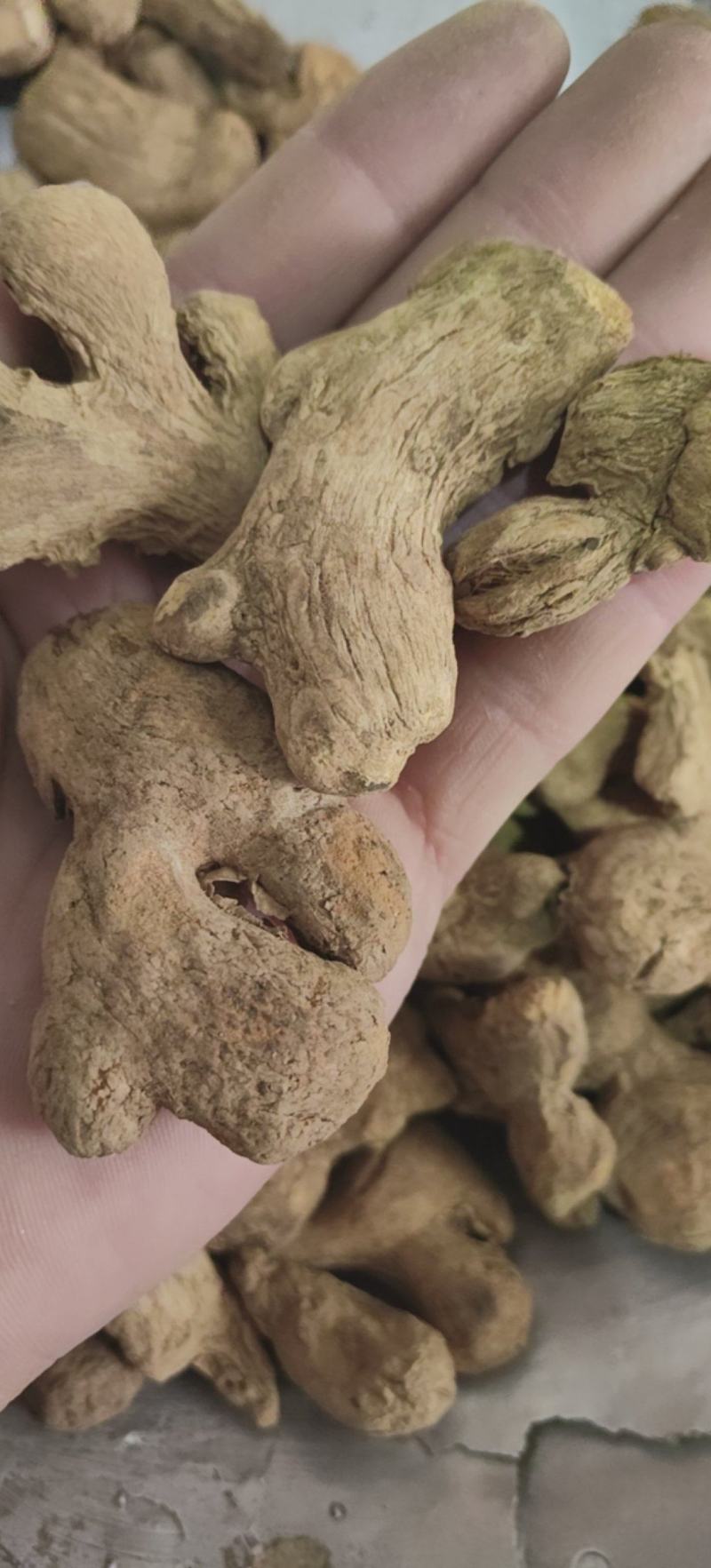 炮姜中药材批发炮干姜泡姜批发各种中药材一手货源