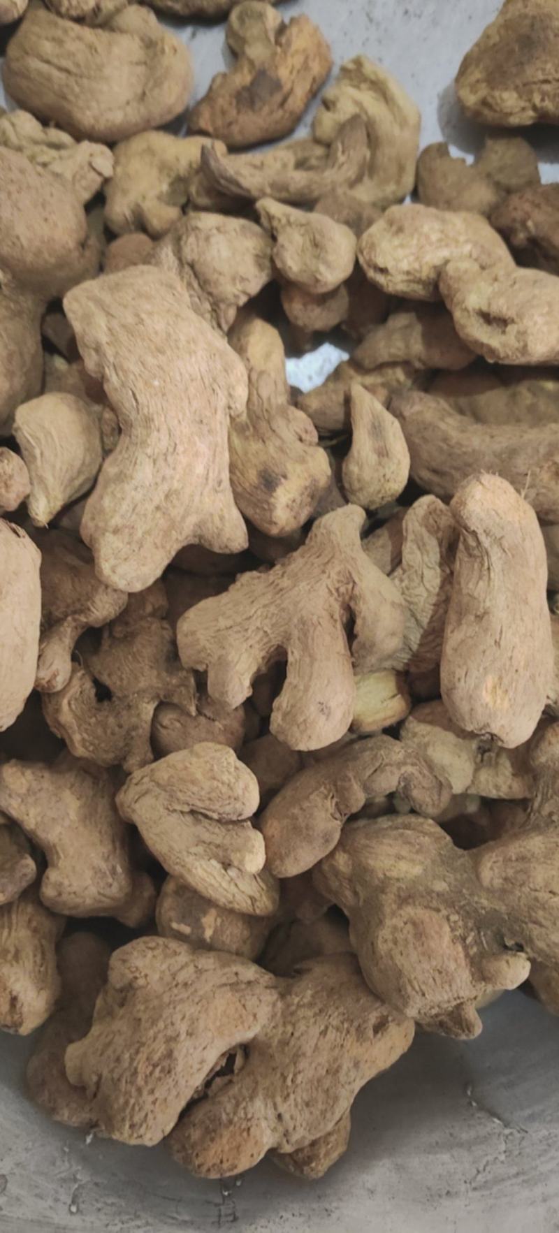 炮姜中药材批发炮干姜泡姜批发各种中药材一手货源