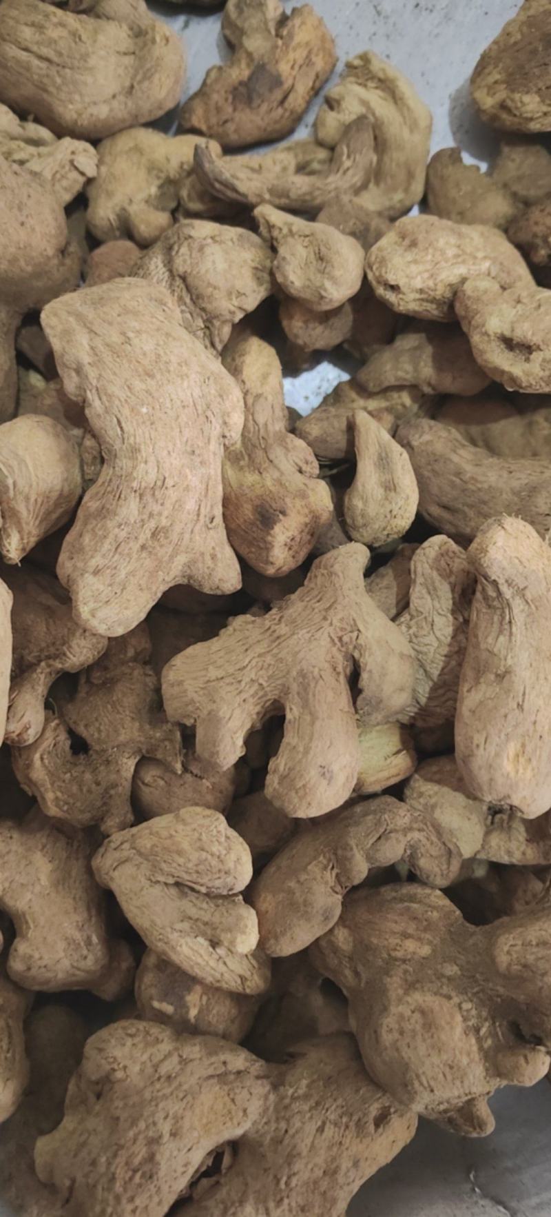 炮姜中药材批发炮干姜泡姜批发各种中药材一手货源