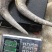 白水牛角黑水牛角对角单个2.5公斤以上无虫无氧化