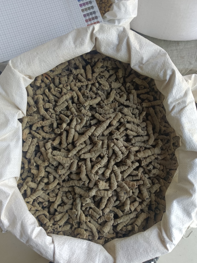 巴戟肉，巴戟天全抽芯实拍，现货，24小时内全国发货