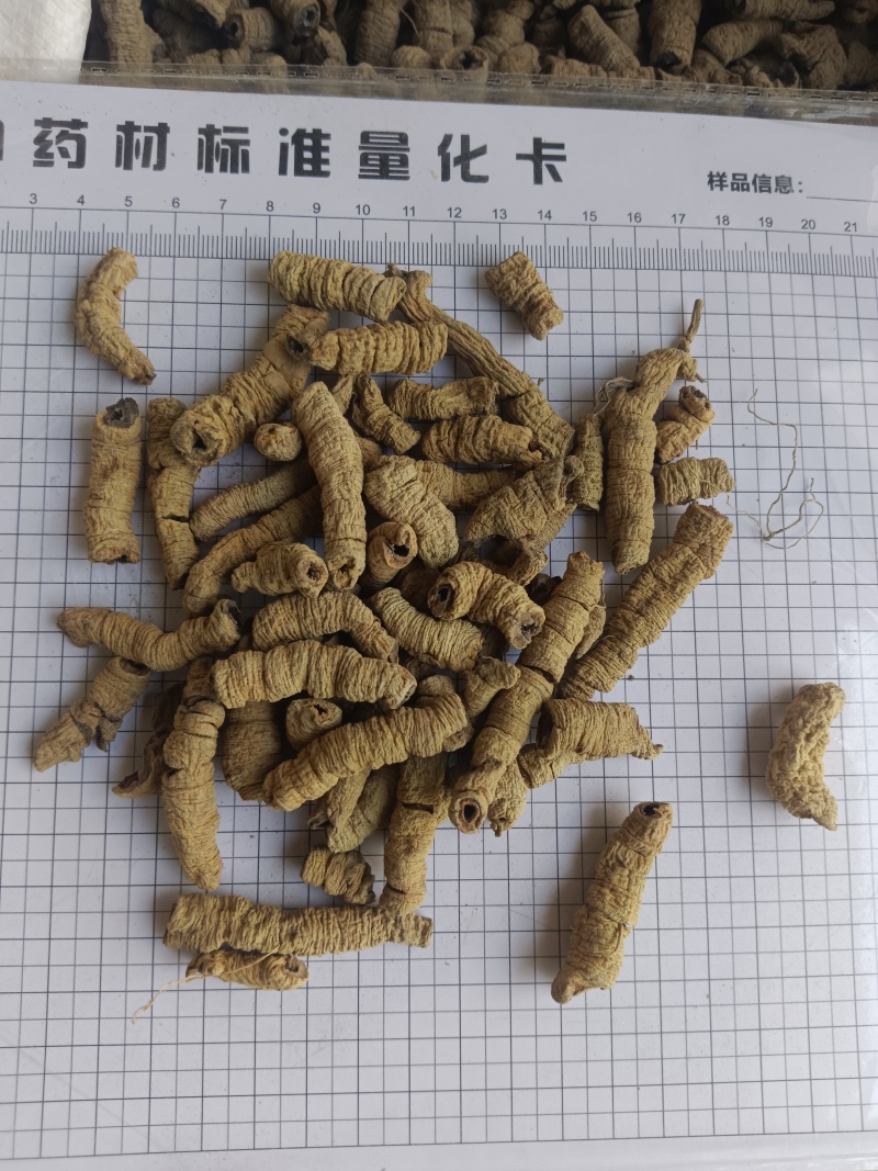 巴戟肉，巴戟天全抽芯实拍，现货，24小时内全国发货