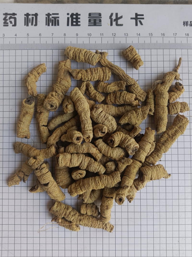 巴戟肉，巴戟天全抽芯实拍，现货，24小时内全国发货