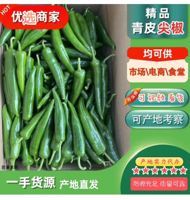 湛江雷州新苗青皮尖椒黄皮尖椒，大量上市全国发货货好