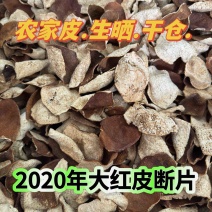 2020年大红皮断皮陈皮碎新会陈皮5年陈皮批发