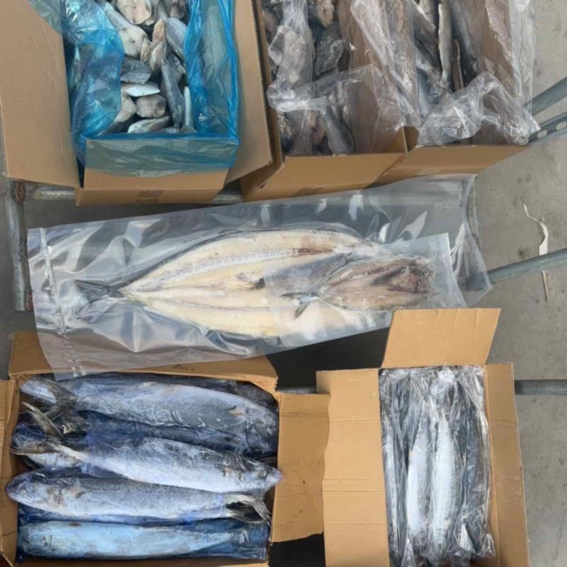 鲅鱼马跤各种鲅鱼各种规格，各种鲅鱼加工制品等等