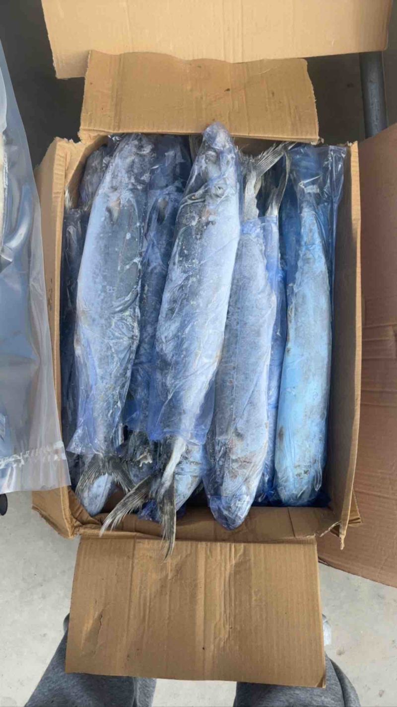 鲅鱼马跤各种鲅鱼各种规格，各种鲅鱼加工制品等等