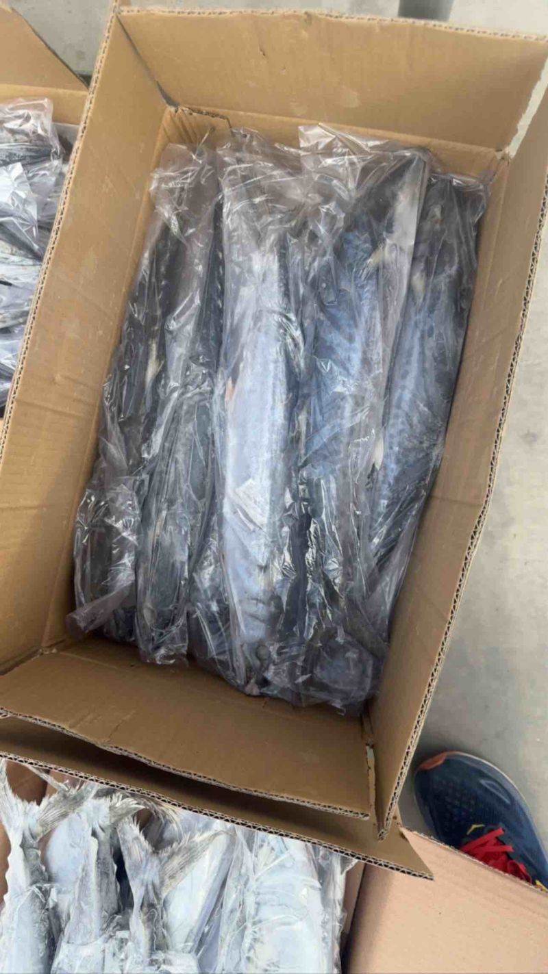 鲅鱼马跤各种鲅鱼各种规格，各种鲅鱼加工制品等等