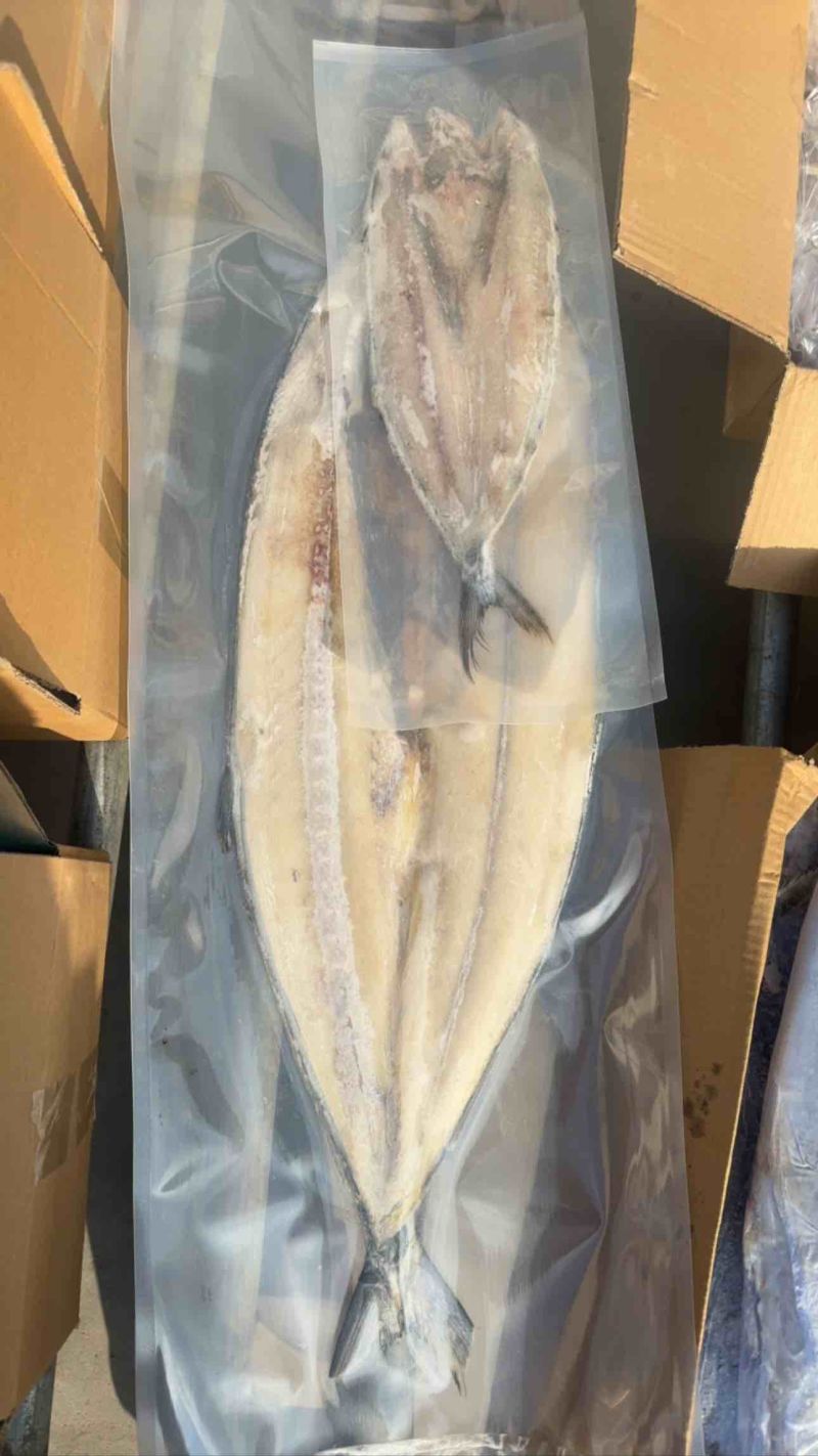 鲅鱼马跤各种鲅鱼各种规格，各种鲅鱼加工制品等等