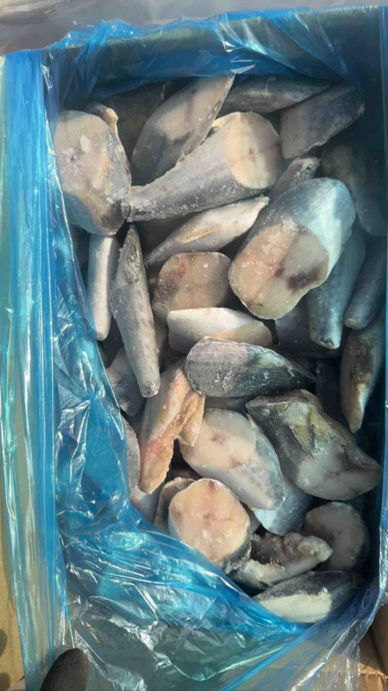 鲅鱼马跤各种鲅鱼各种规格，各种鲅鱼加工制品等等