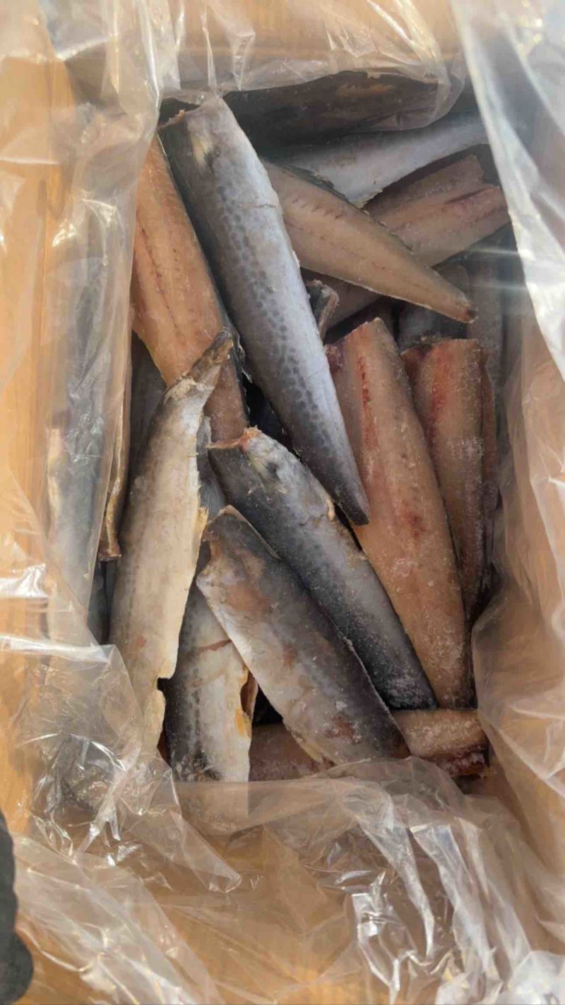 鲅鱼马跤各种鲅鱼各种规格，各种鲅鱼加工制品等等